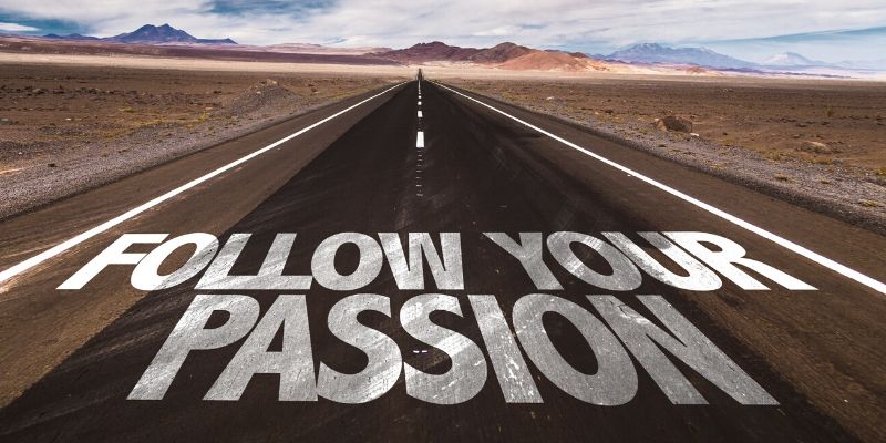 Passion Purpose And Fascination Instinctive Drives® 